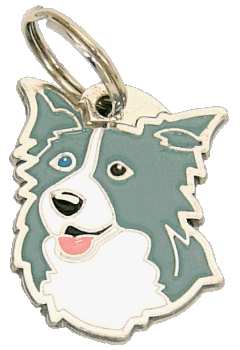 BORDER COLLIE BLUE ODD EYED <br> (pet tag, engraving included)
